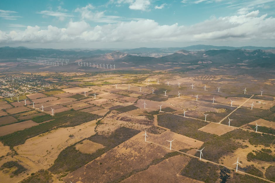 Maikel Nisimblat launches Energy AI for Latin America